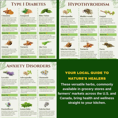 Ancient Herbal Remedies (eBook)